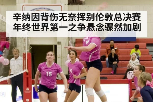 辛纳因背伤无奈挥别伦敦总决赛 年终世界第一之争悬念骤然加剧